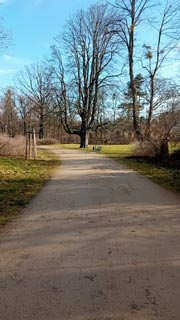 Grosser-Garten-01