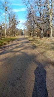 Grosser-Garten-03