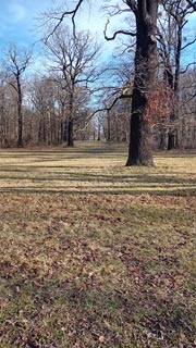 Grosser-Garten-04