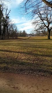 Grosser-Garten-05