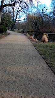 Grosser-Garten-07