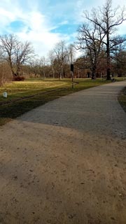 Grosser-Garten-08
