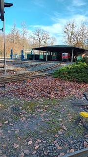 Grosser-Garten-38