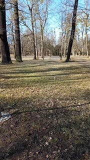 Grosser-Garten-12