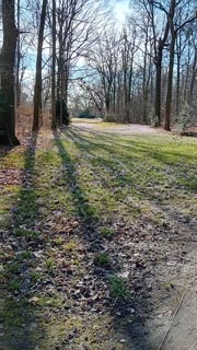 Grosser-Garten-13
