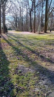 Grosser-Garten-14