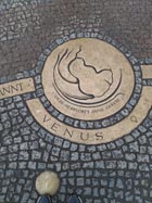 Venus